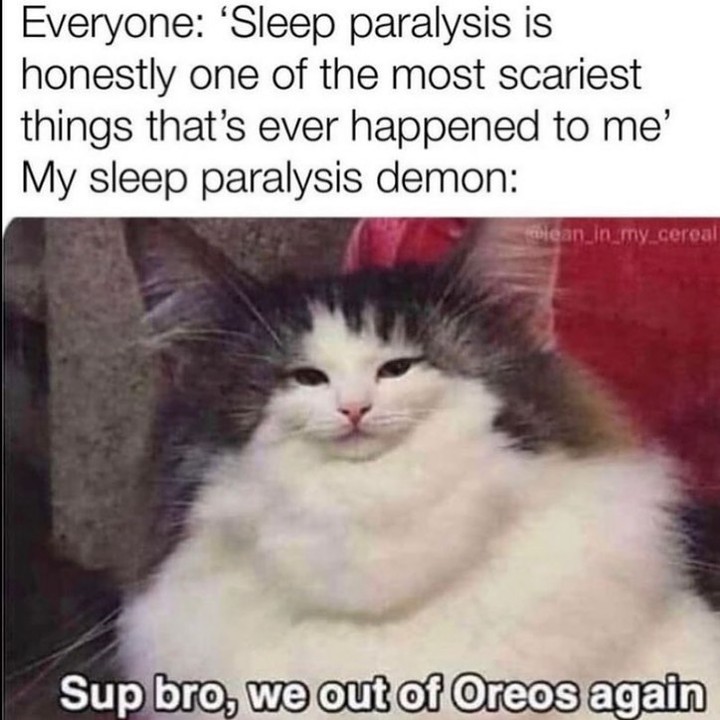 Everyone: "Sleep paralysis is honestly one of the most scariest things that's ever happened to me".  My sleep paralysis demon:  Sup bye, we out of Oreos again.