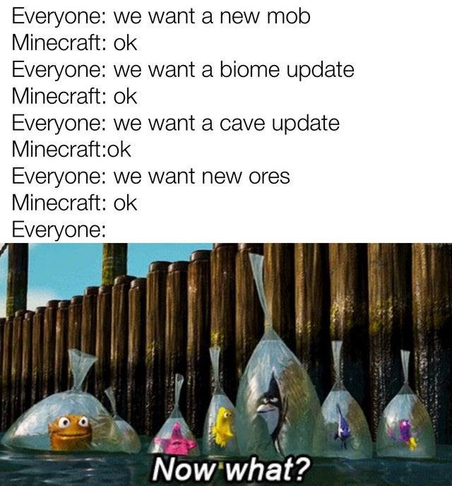 Everyone: we want a new mob.  Minecraft: ok.  Everyone: we want a biome update.  Minecraft: ok.  Everyone: we want a cave update.  Minecraft: ok.  Everyone: we want new ores.  Minecraft: ok.  Everyone: Now what?