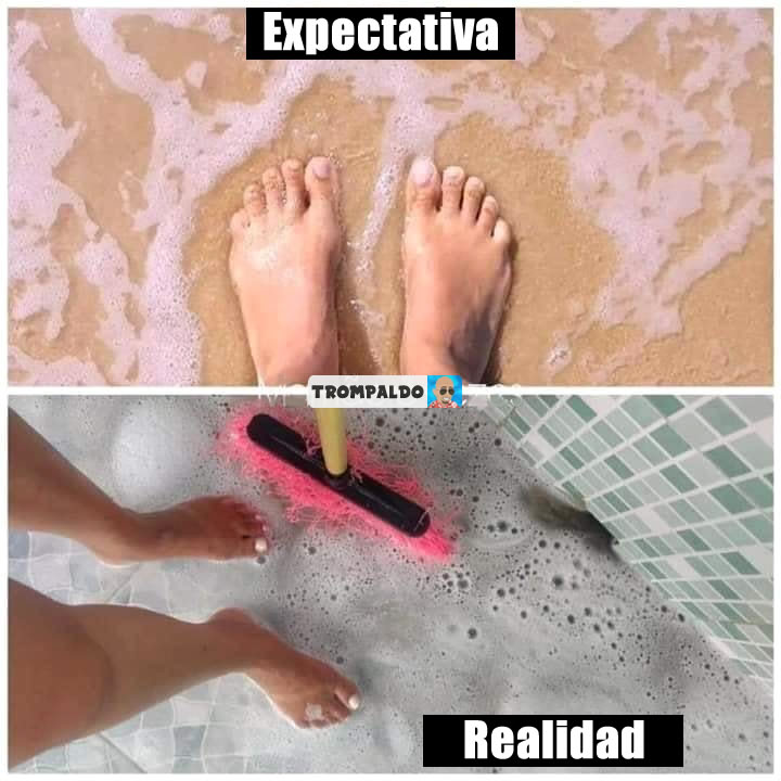 Expectativa / Realidad