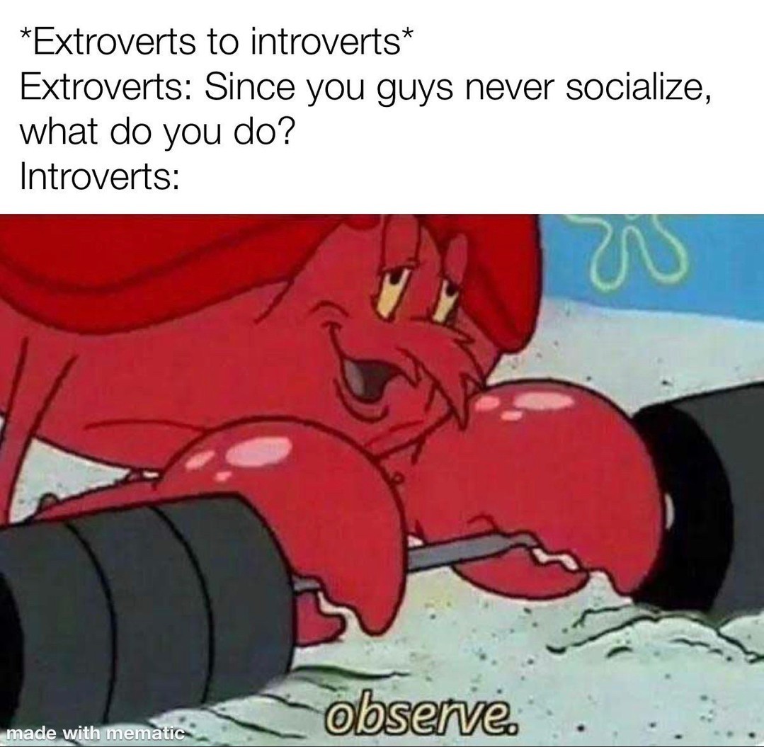 *Extroverts to introverts* Extroverts: Since you guys never socialize, what do you do? Introverts: Observe.