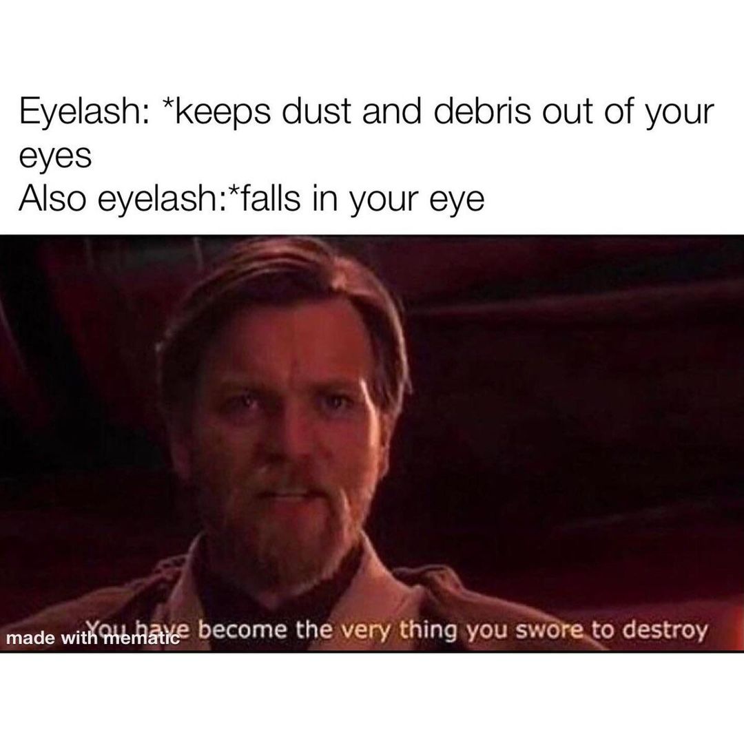 Eyelash: *keeps dust and debris out of your eyes. Also eyelash: *falls in your eye made become the very thing you swore to destroy.