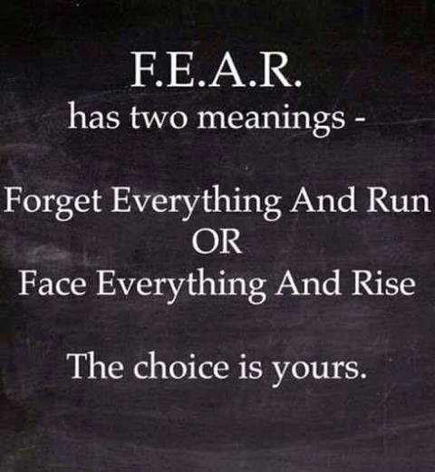 F.E.A.R. has two meanings: Forget everything and run or Face everything and rise the choice is yours.