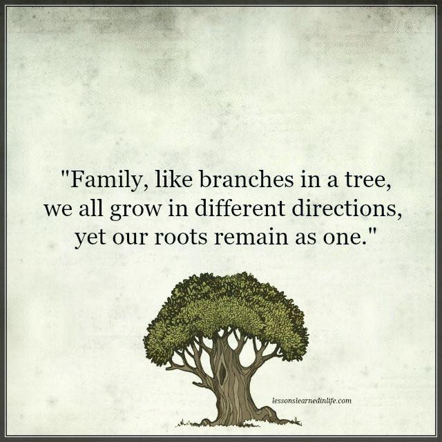 "Family, like branches in a tree, we all grow in different directions, yet our roots remain as one."