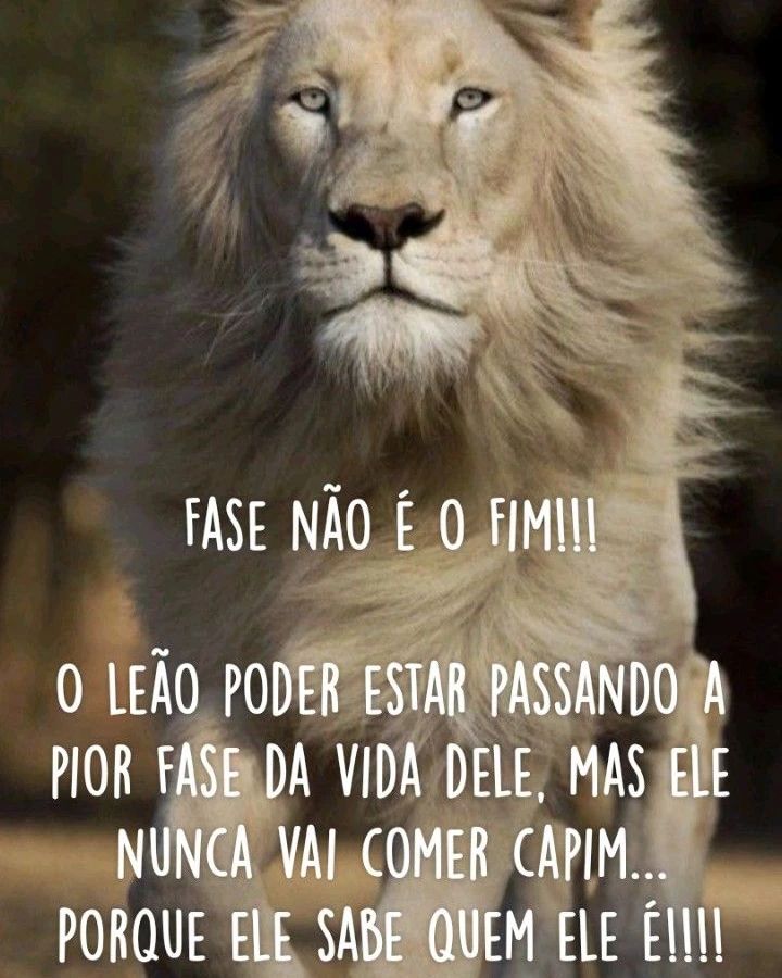 Fase não é o fim!!! O leão poder estar passando pior fase da vida dele; mas el nunca vai comer capim... porque ele sabe quem ele é.