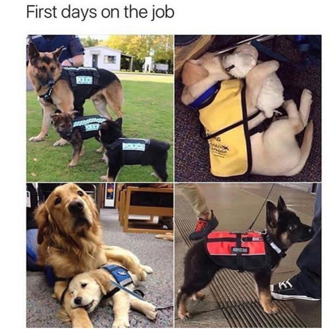 First days on the job.