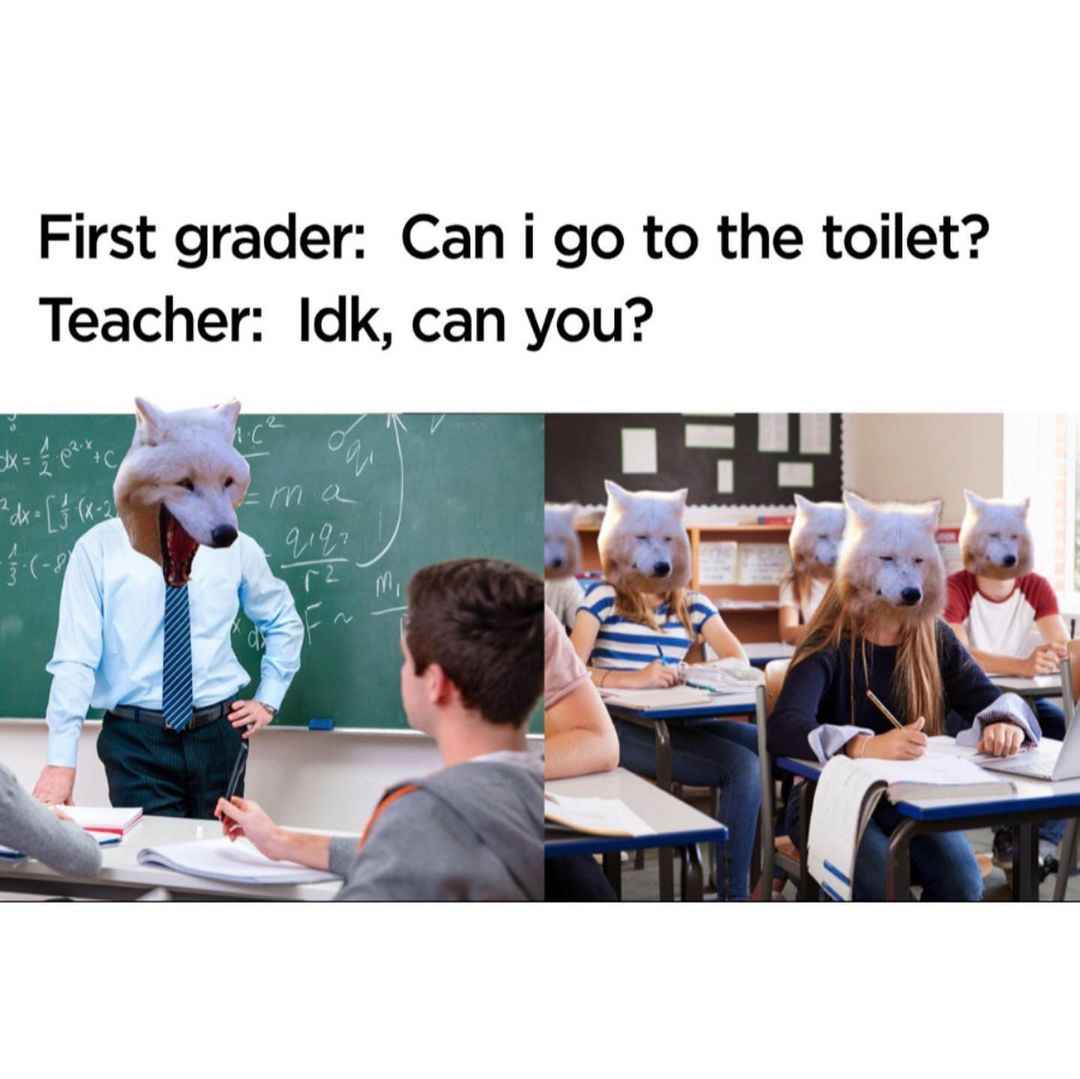 Do Teachers Have To Let You Go To The Toilet