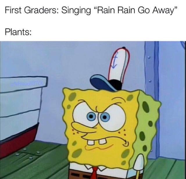First Graders: Singing "Rain Rain Go Away".  Plants: