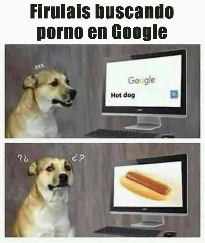 Firulais buscando porno en Google. Hot dog.