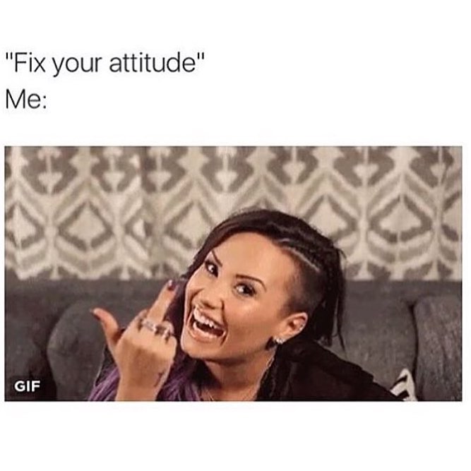 "Fix your attitude". Me: GIF.