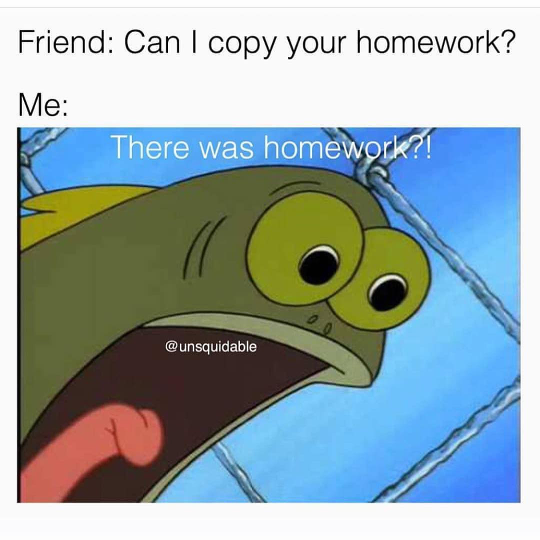 friend-can-i-copy-your-homework-me-there-was-homework-funny