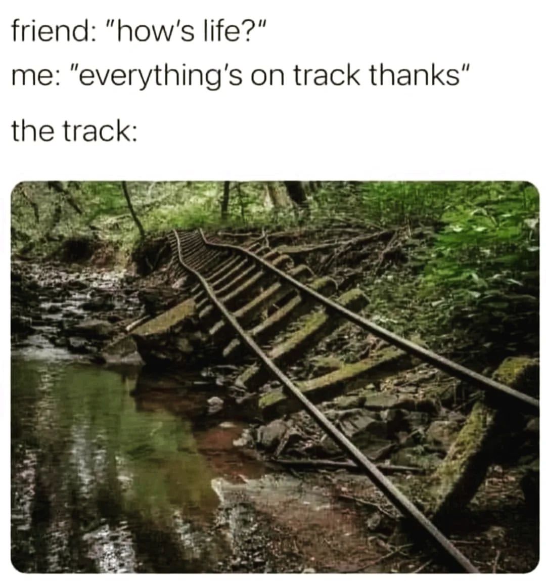 Friend: "How's life?" Me: "Everything's on track thanks" the track: