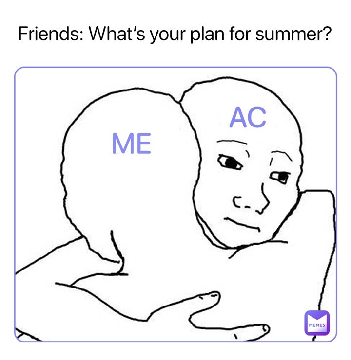 Friends: What's your plan for summer?