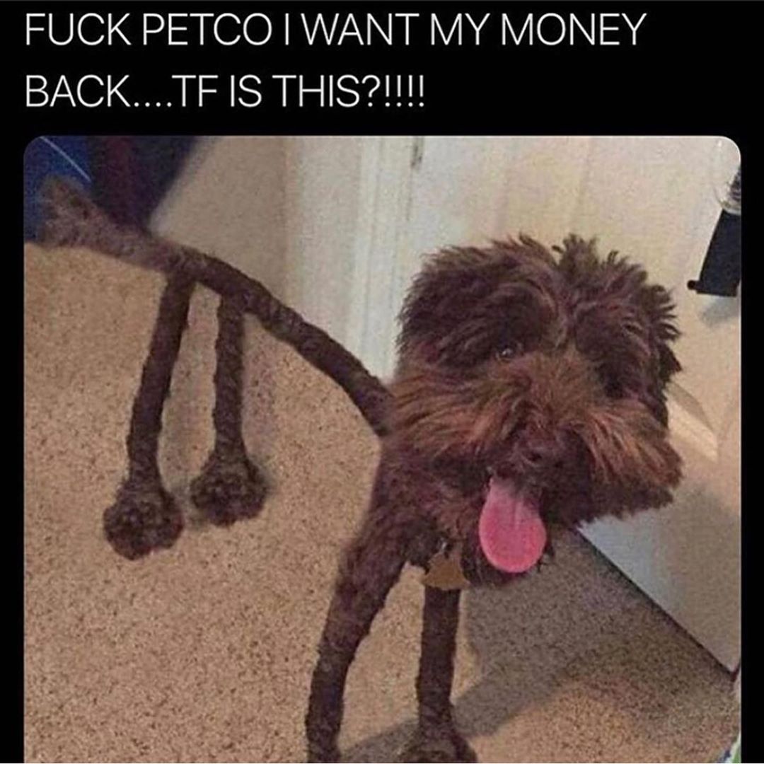 Fuck petco I want my money back....tf is this?!!!!