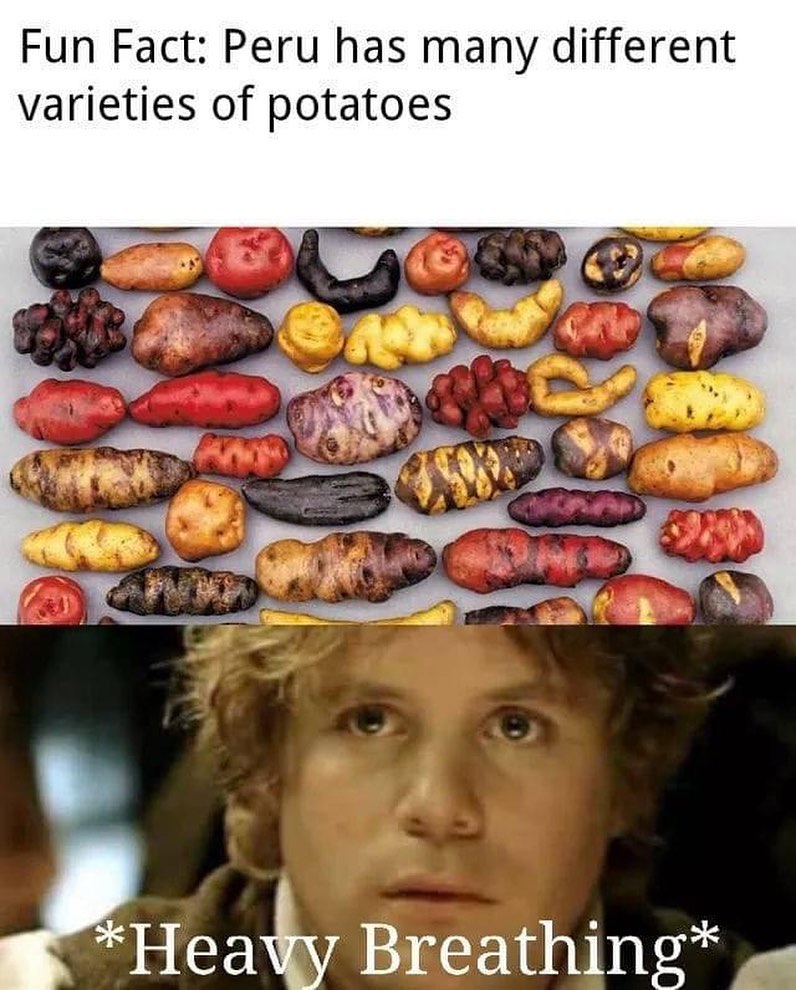Fun Fact: Peru has many different varieties of potatoes. *Heave Breathing*