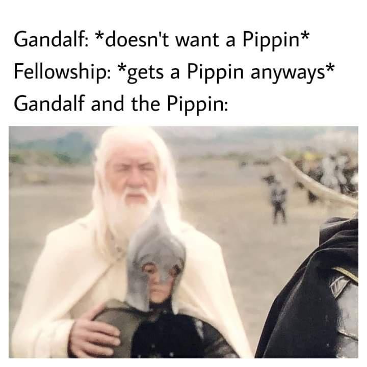 Gandalf: *Doesn't want a Pippin* Fellowship: *Gets a Pippin anyways* Gandalf and the Pippin: