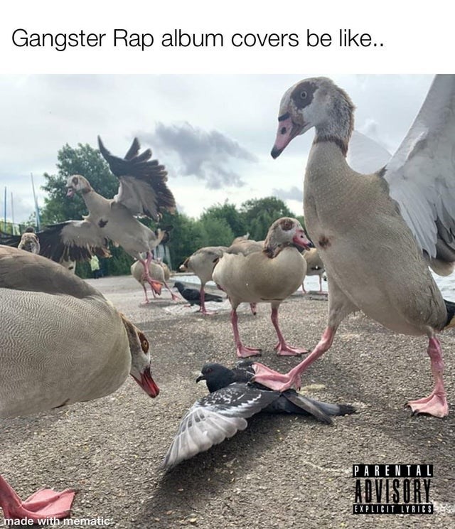 Gangster Rap album covers be like.