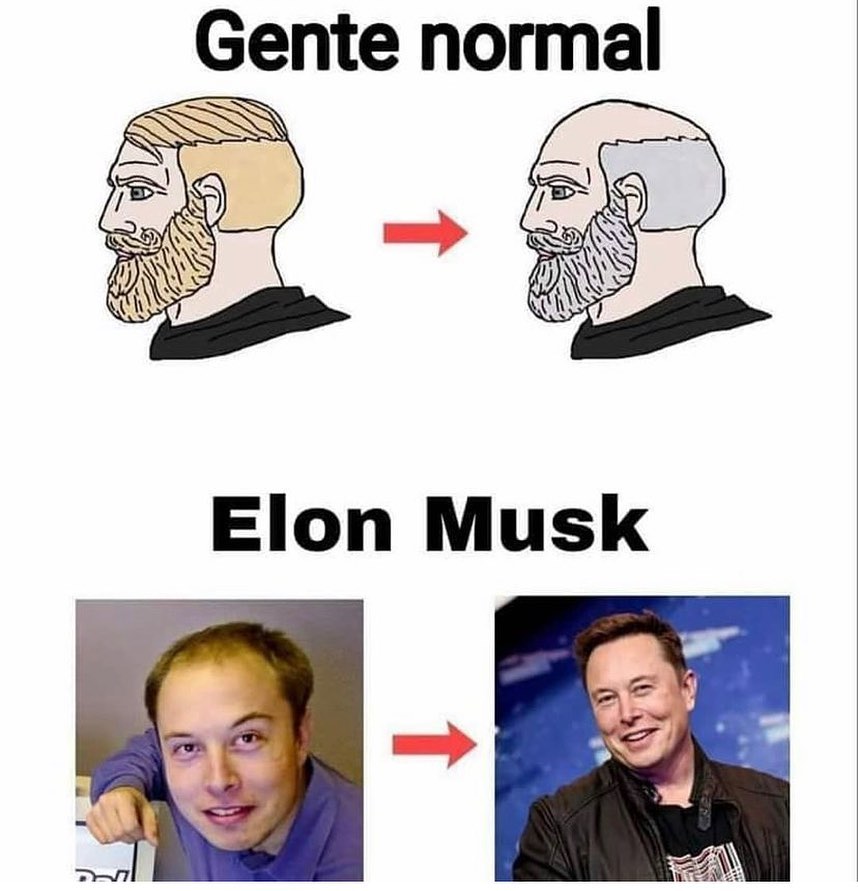 Gente normal. Elon Musk.