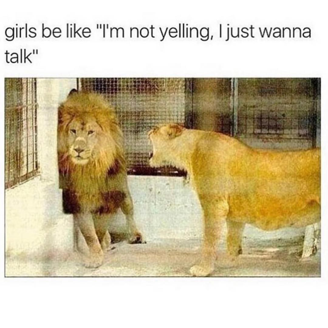Girls be like "I'm not yelling, I just wanna talk".