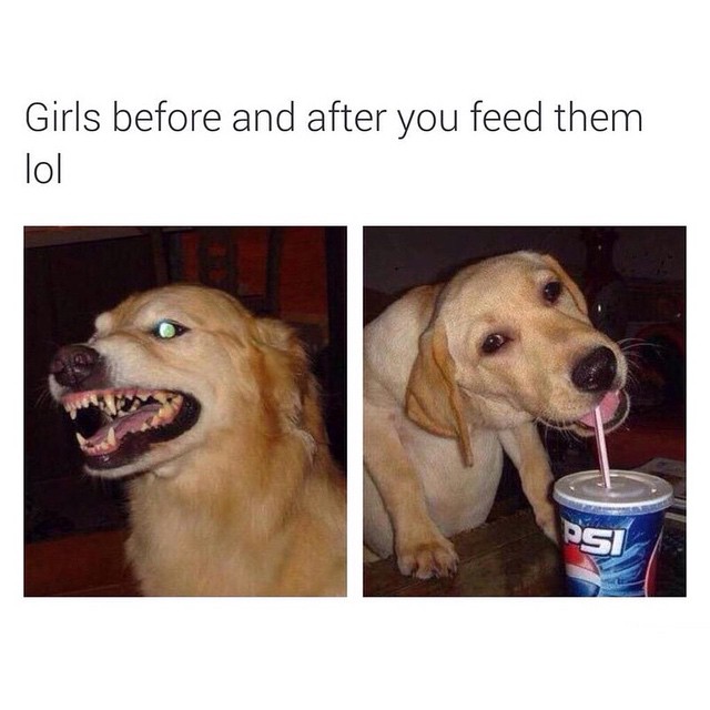 Girls before and after you feed them lol.