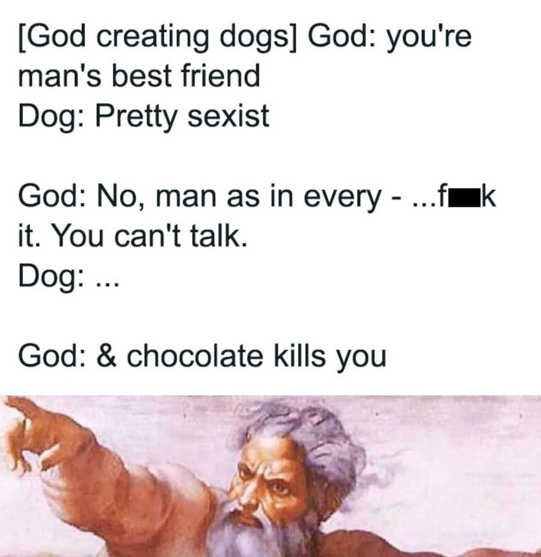 [God creating dogs] God: you're man's best friend Dog: Pretty sexist God: No, man as in every it. You can't talk. Dog... God: & chocolate kills you.