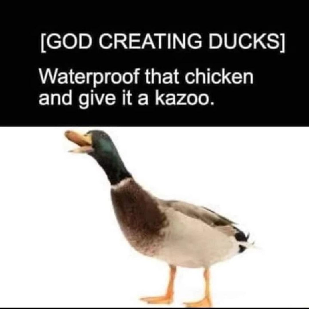 [God creating ducks] Waterproof that chicken and give it a kazoo.