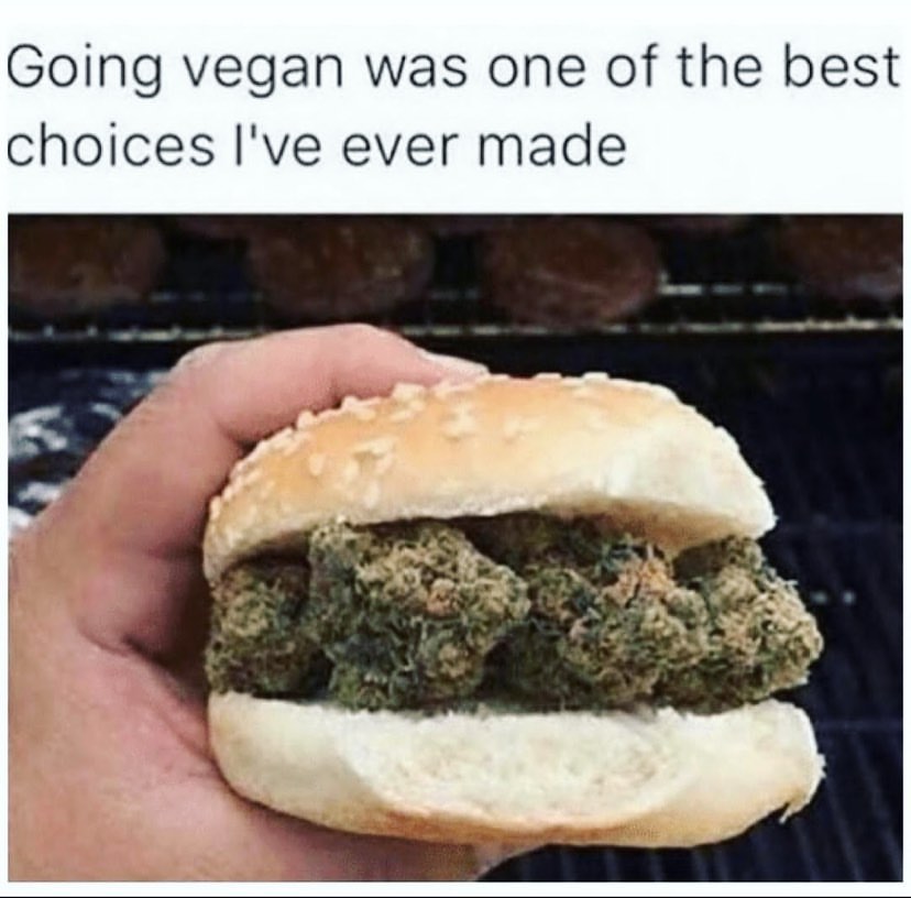 Going vegan was one of the best choices I've ever made.
