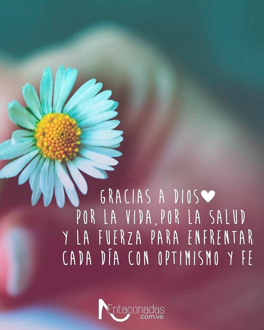 Gracias a Dios por la vida, por la salud y la fuerza para enfrentar cada día con optimismo y fe.