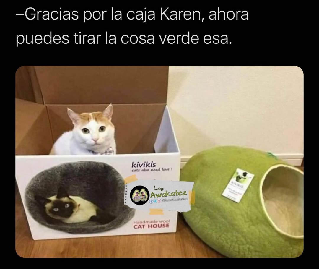 Gracias por la caja Karen, ahora puedes tirar la cosa verde esa.