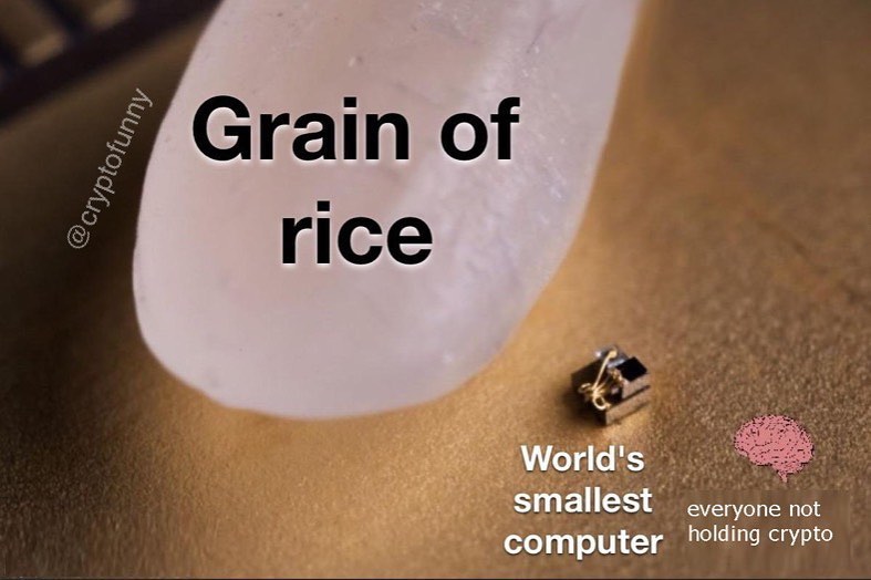 Grain of rice. World's smallest computer.