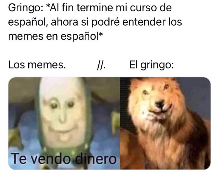 Gringo: *Al fin termine mi curso de español, ahora si podré entender los memes en español*  Los memes: Te vendo dinero. El gringo:
