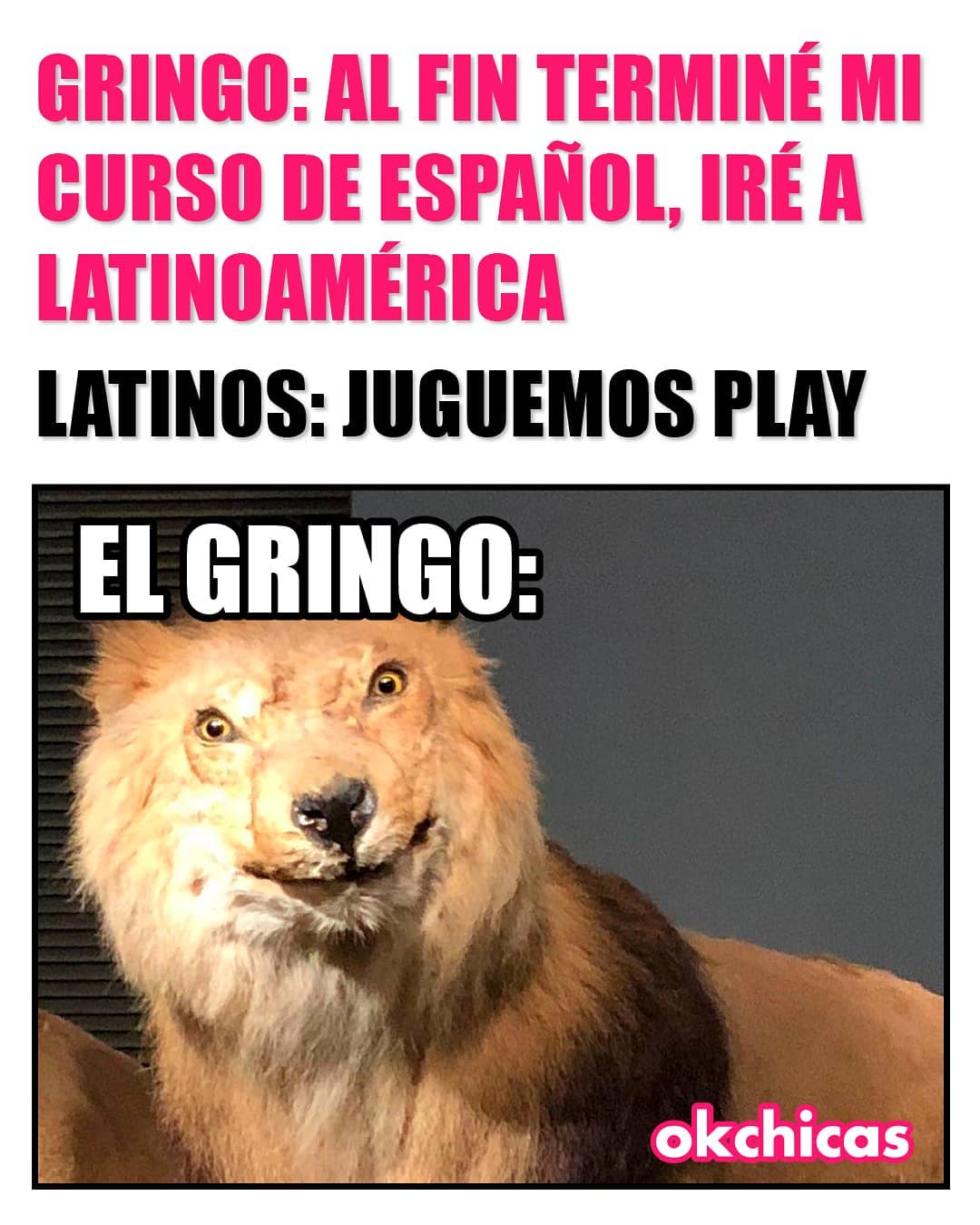 Gringo: Al fin terminé mi curso de español, iré a Latinoamérica.  Latinos: Juguemos play.  El gringo: