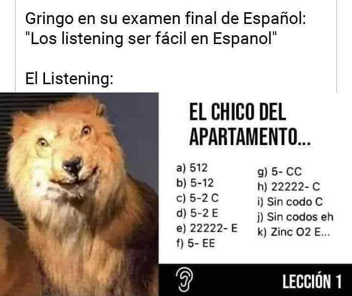 Gringo en su examen final de Español: "Los listening ser fácil en Español"  El listening: El chico del apartamento...  a) 512.  b) 5-12.  c) 5-2 C.  d) 5-2 E.  e) 22222-E.  f) 5-EE.  g) 5-CC.  h) 22222-C.  i) Sin codo C.  j) Sin codos eh.  k) Zinc O2 E...