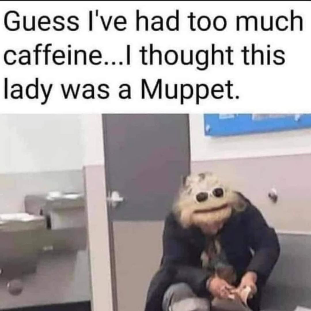 Guess I\u0026#39;ve had too much caffeine... I thought this lady was a Muppet ...