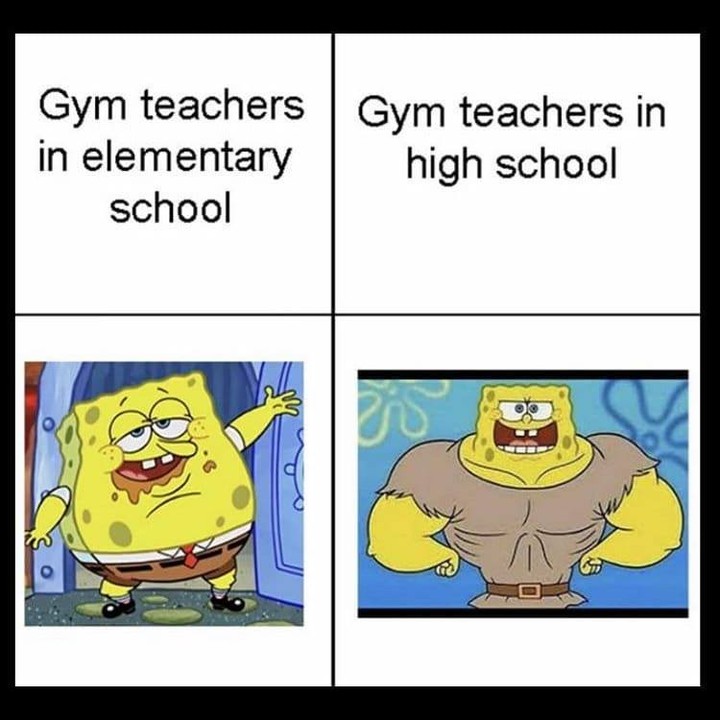 gym-teachers-in-elementary-school-gym-teachers-in-high-school-funny