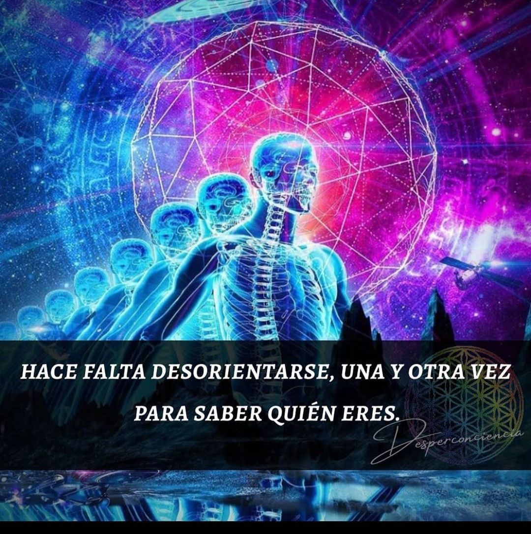 El Universo No Castiga Ni Bendice El Universo Responde A La Actitud Y A La Vibración Emites