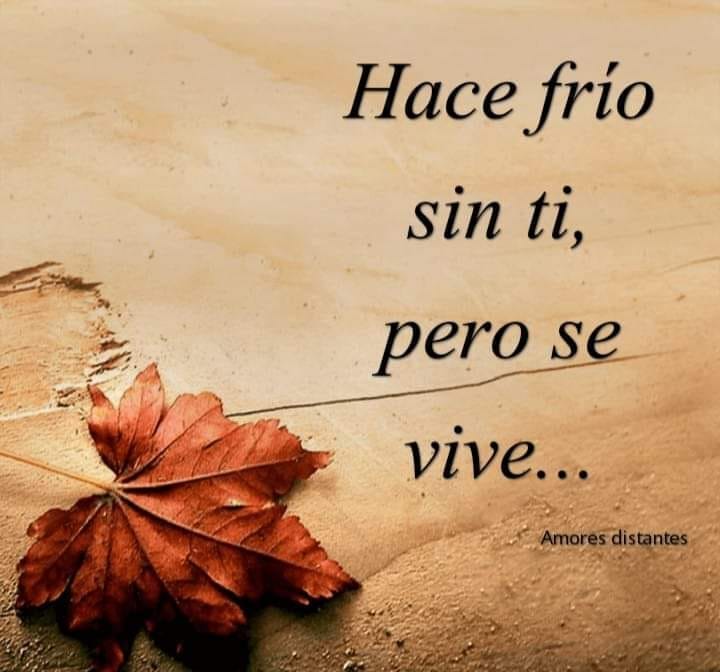 Hace frío sin ti, pero se vive. - Frases