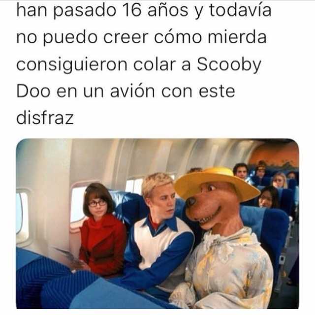 Han pasado 16 años y todavía no puedo creer cómo mierda consiguieron colar a Scooby Doo en un avión con este disfraz.
