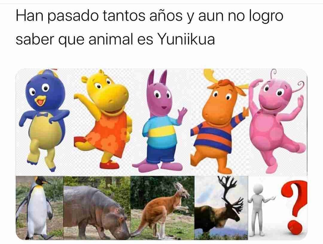 Han pasado tantos años y aun no logro saber que animal es Yuniikua.