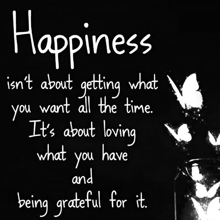 Happiness isn't about getting what you want all the time. It's about loving what you have and being grateful for it.