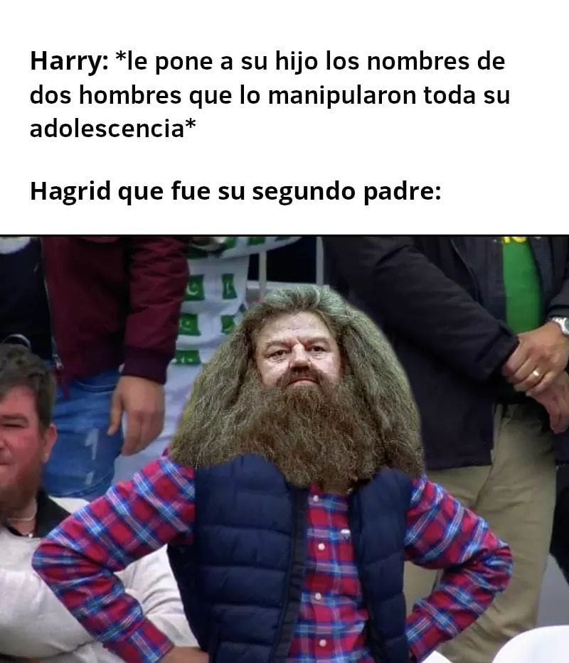 Harry: *le pone a su hijo los nombres de dos hombres que lo manipularon toda su adolescencia* Hagrid que fue su segundo padre: