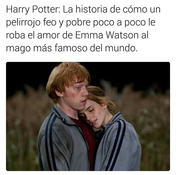 Harry Potter: La historia de cómo un pelirrojo feo y pobre poco a poco le roba el amor de Emma Watson al mago más famoso del mundo.
