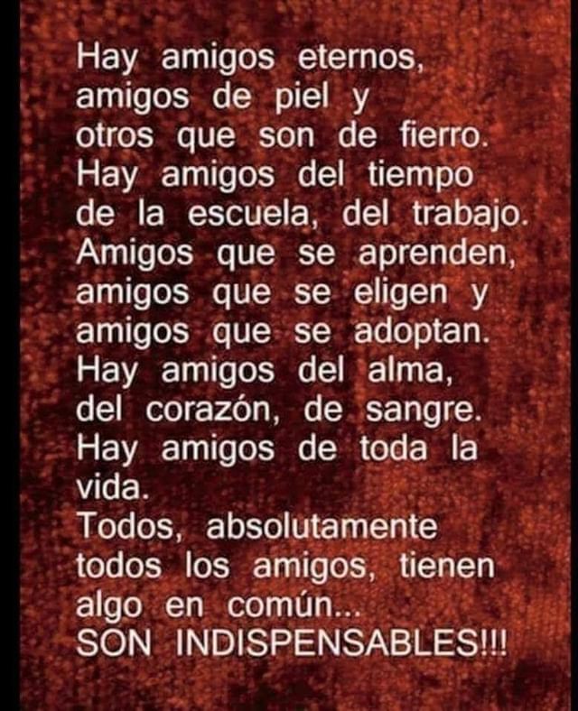 Hay amigos eternos, amigos de piel y otros que son de fierro. Hay amigos del tiempo de la escuela, del trabajo. Amigos que se aprenden, amigos que se eligen y amigos, que se adoptan. Hay amigos del alma, del corazón, de sangre. Hay amigos de toda la vida. Todos, absolutamente todos los amigos, tienen algo en común... son indispensables.