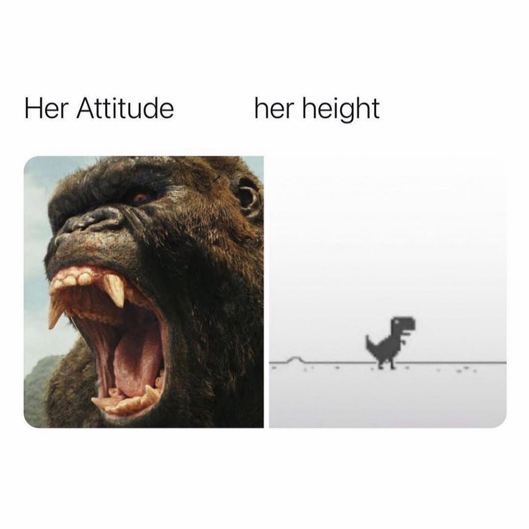 Her attitude. Her height.