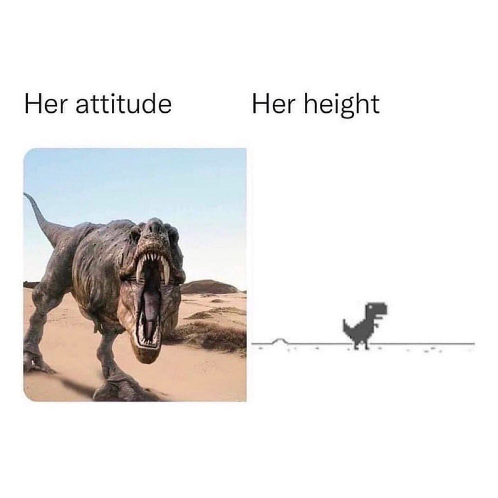 Her attitude. Her height.