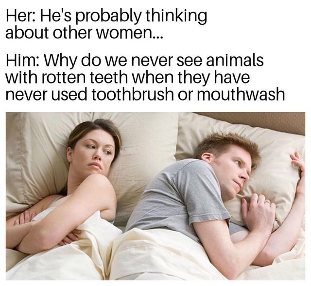 Her: He's probably thinking about other women...  Him: Why do we never see animals with rotten teeth when they have never used toothbrush or mouthwash.