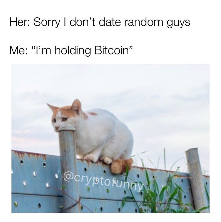 Her: Sorry I don't date random guys. Me: "I'm holding Bitcoin."