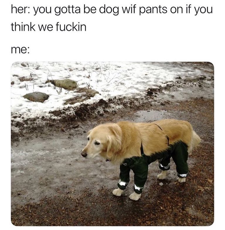 Her: you gotta be dog wif pants on if you think we fuckin.  Me:
