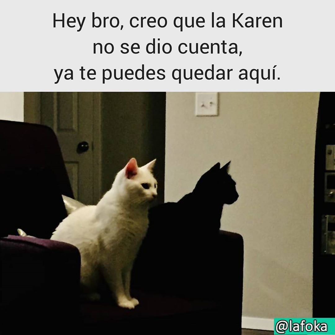 Hey bro, creo que la Karen no se dio cuenta, ya te puedes quedar aquí.
