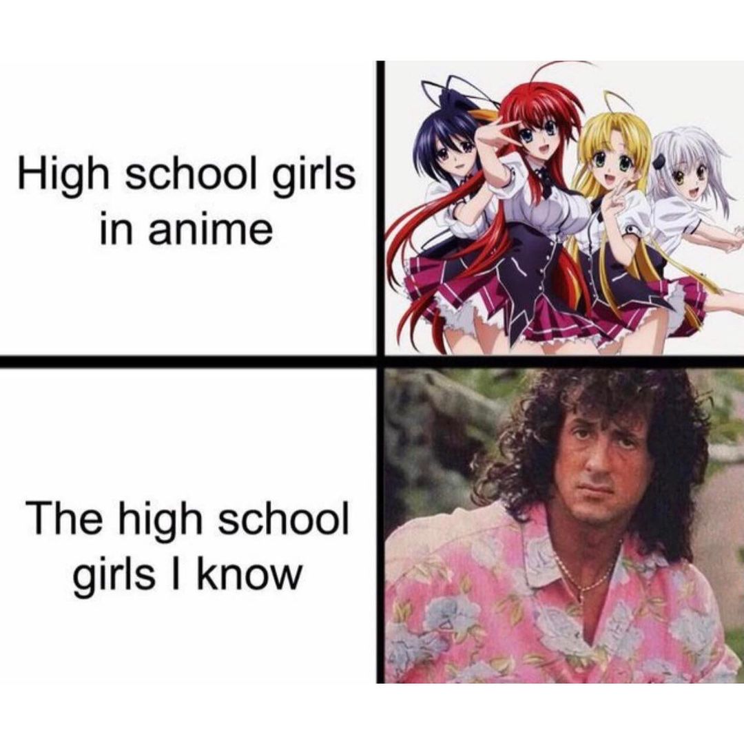 High school girls in anime. The high school girls I know.