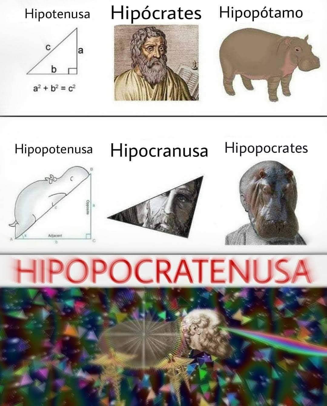 Hipotenusa. Hipócrates. Hipopótamo.  Hipopotenusa. Hipocranusa. Hipopocrates.  Hipopocratenusa.